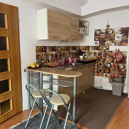 Apartment Ela Centre